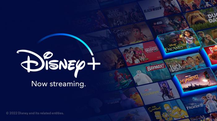 Kan du ladda ner Disney Plus -filmer på bärbar dator